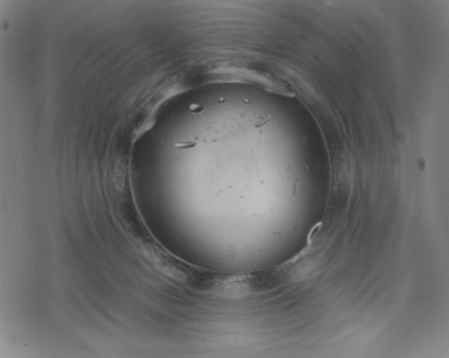 X0000072550078200607211410