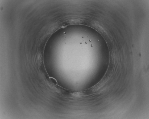 X0000072550079200607211410