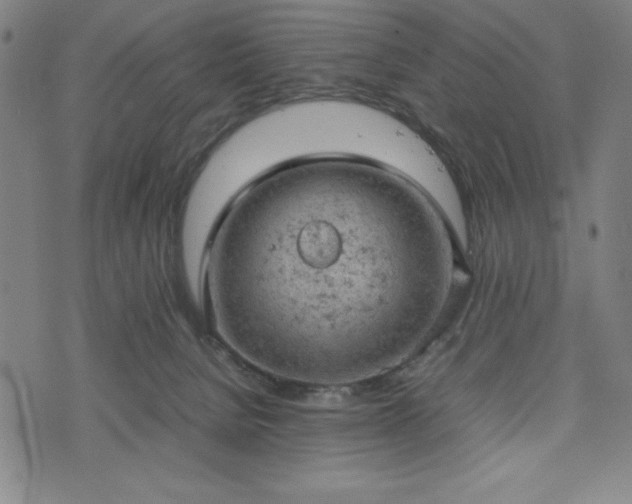 X0000072550080200607211410