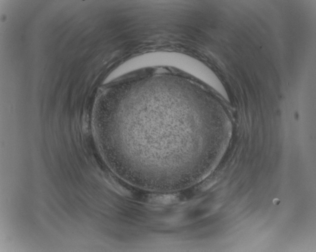 X0000072550081200607211410