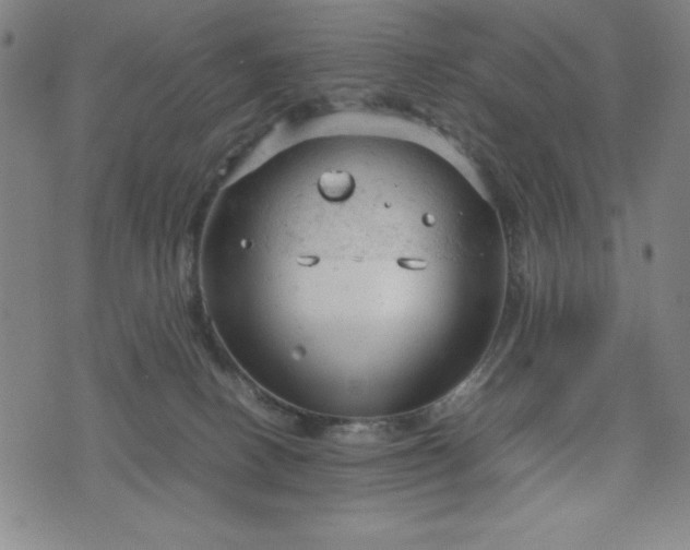 X0000072550082200607211410