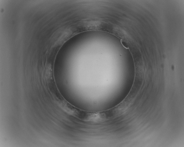 X0000072550083200607211410