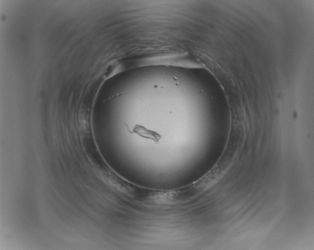 X0000072550084200607211410