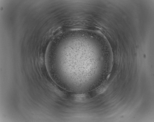 X0000072550085200607211410