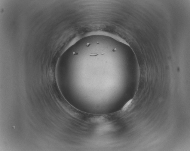 X0000072550086200607211410