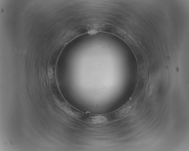 X0000072550087200607211410