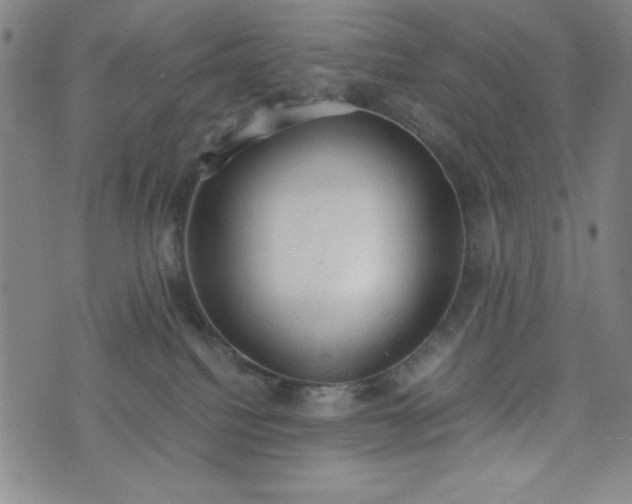 X0000072550088200607211410