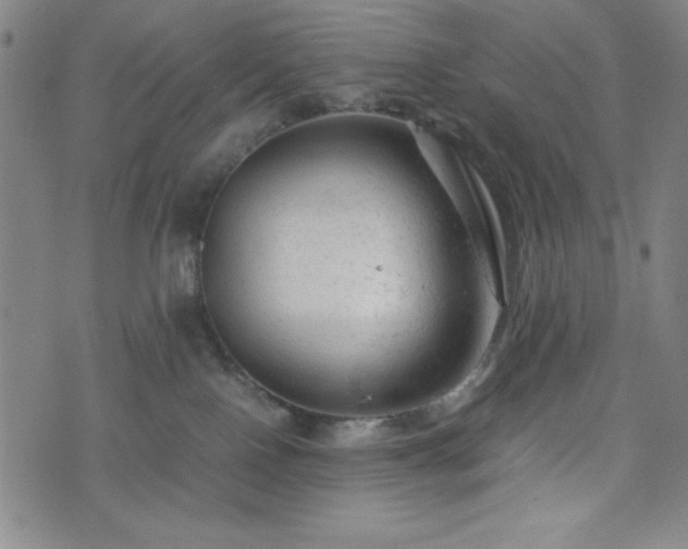 X0000072550090200607211410