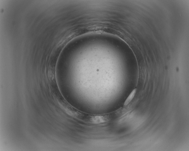 X0000072550091200607211410