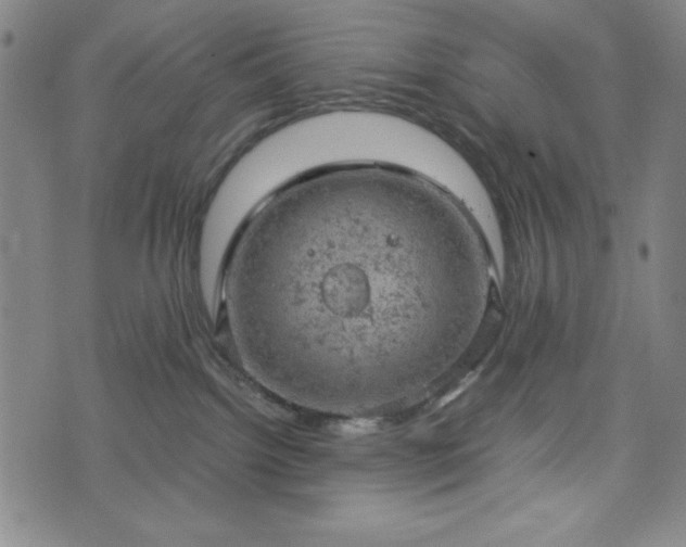 X0000072550092200607211410