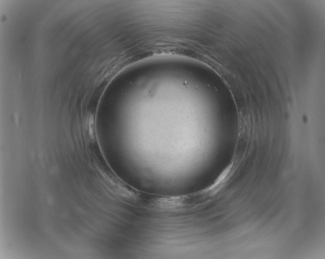 X0000072550094200607211410