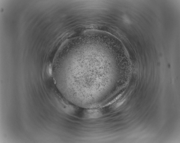 X0000072550095200607211410