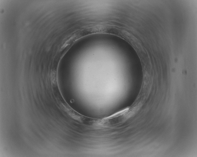 X0000072550096200607211410