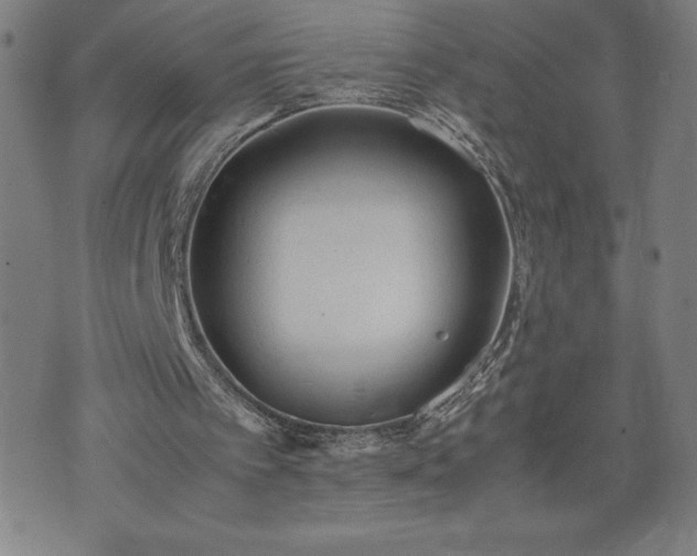 X0000072550097200607211409