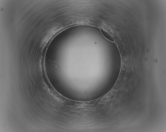 X0000072550098200607211409