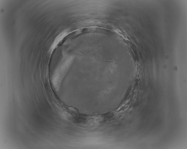 X0000072550099200607211409