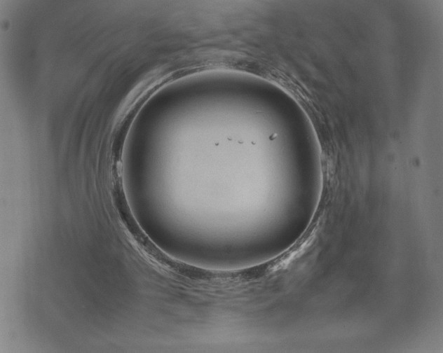 X0000072550101200607211409