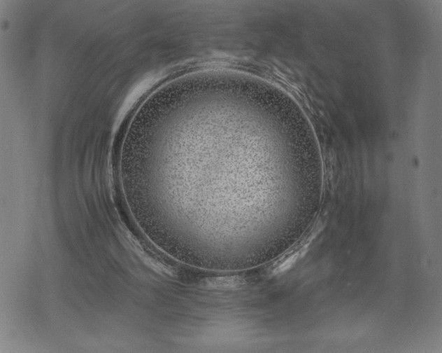 X0000072550102200607211409