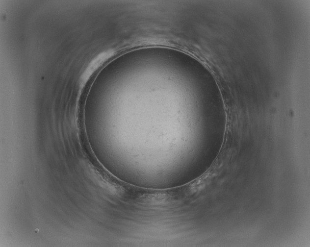 X0000072550104200607211409