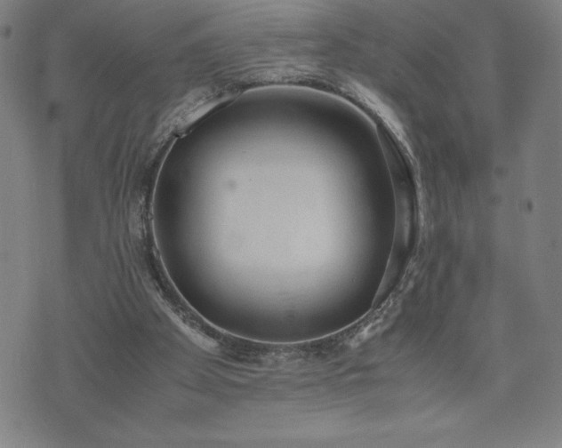 X0000072550105200607211409