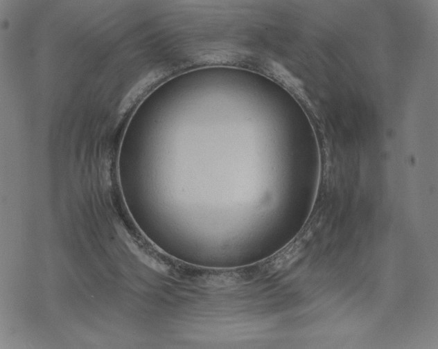 X0000072550106200607211409