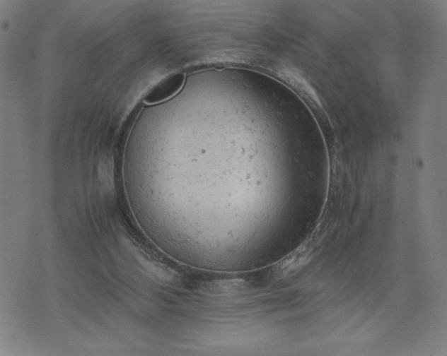 X0000072550108200607211409