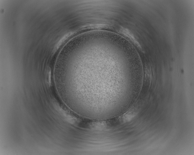 X0000072550110200607211409