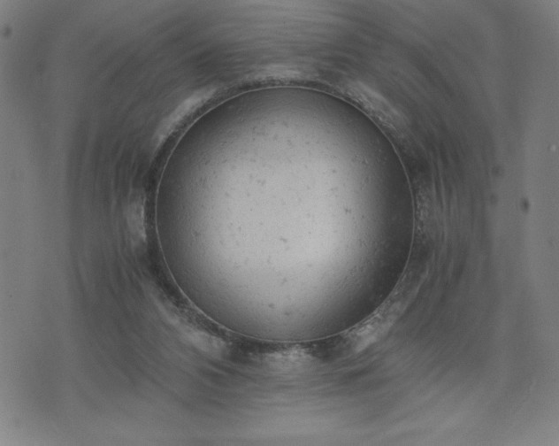 X0000072550112200607211409