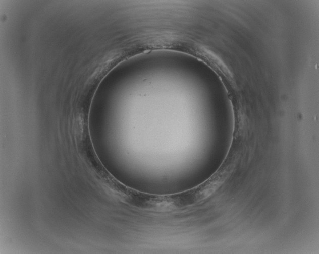 X0000072550113200607211409