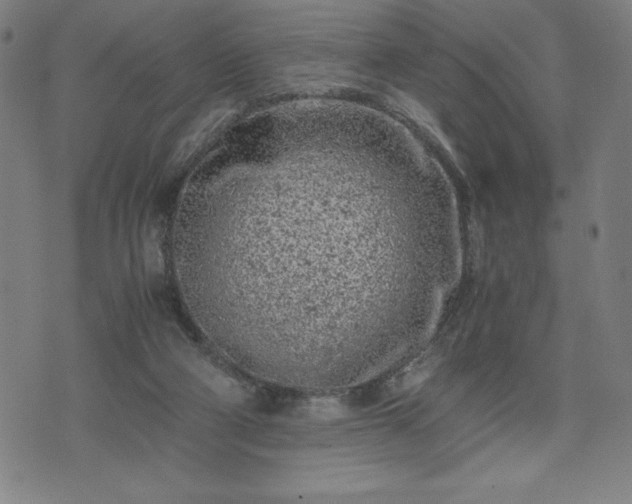 X0000072550114200607211409