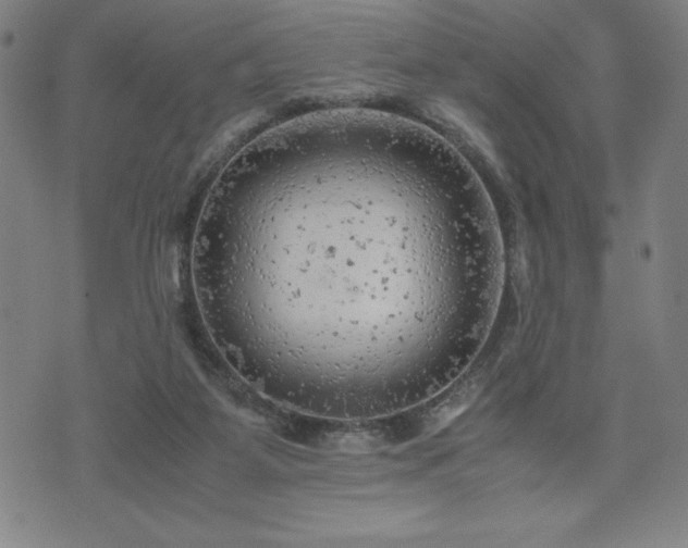 X0000072550115200607211409