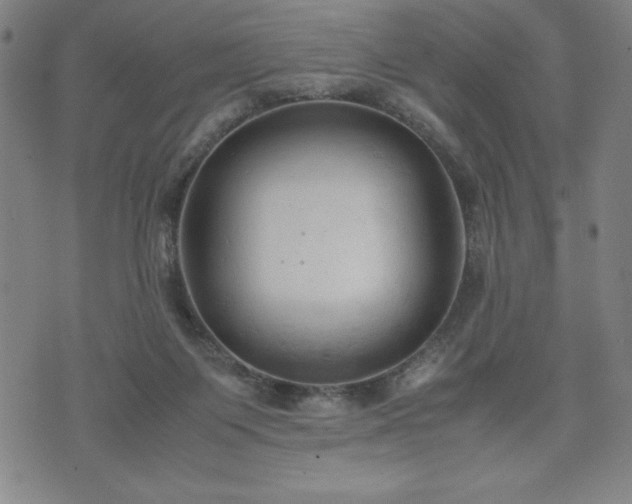 X0000072550119200607211409