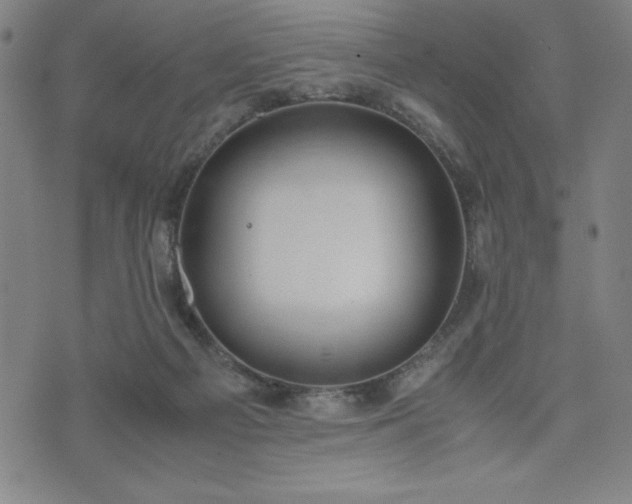 X0000072550121200607211409