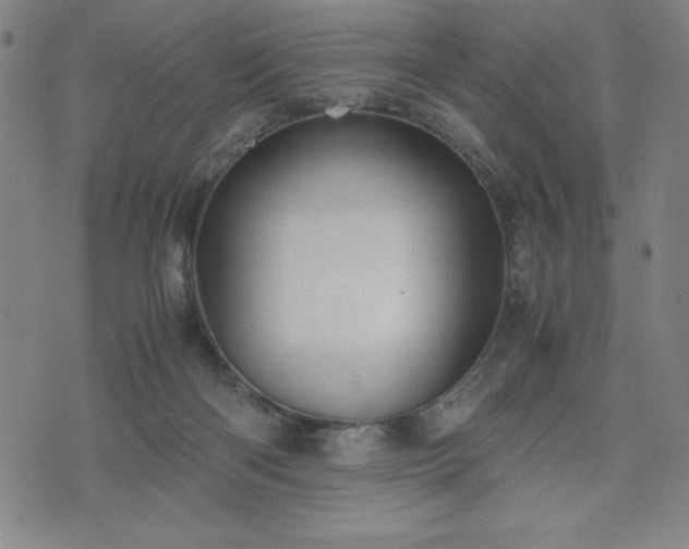 X0000072550122200607211409