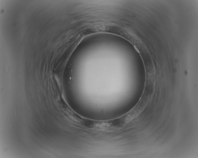 X0000072550125200607211409