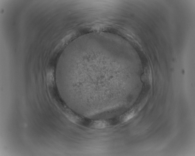 X0000072550127200607211409