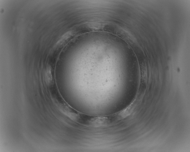 X0000072550128200607211409