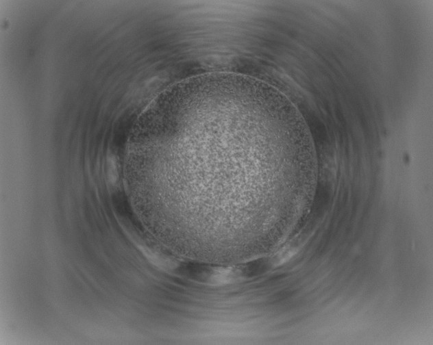 X0000072550130200607211409