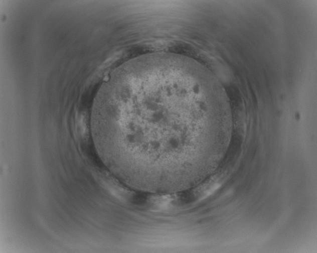 X0000072550131200607211409