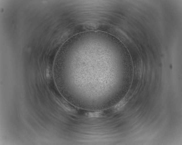 X0000072550134200607211408