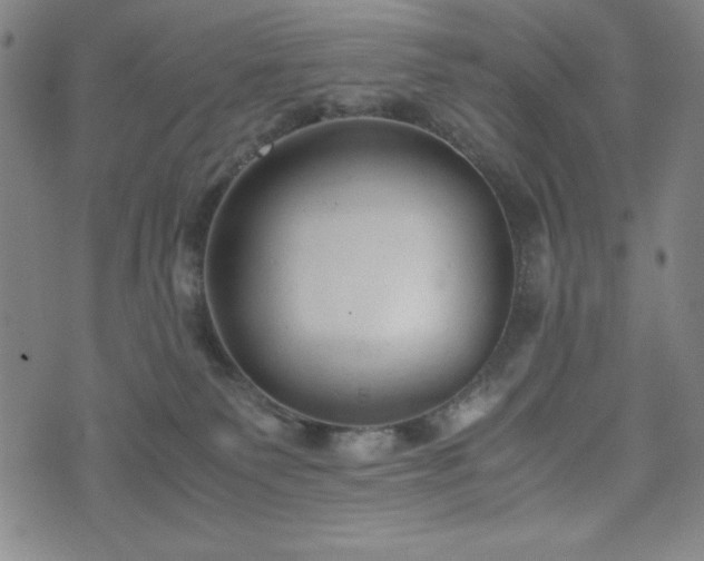 X0000072550135200607211408