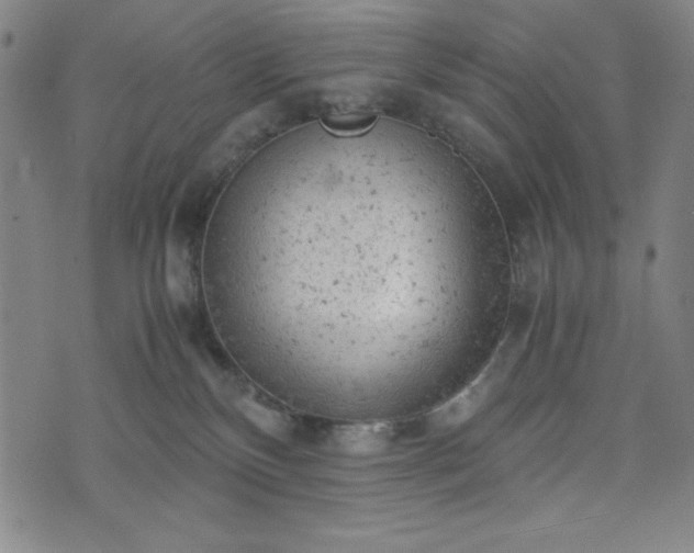 X0000072550136200607211408