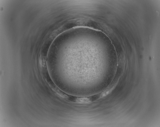 X0000072550137200607211408