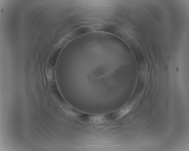 X0000072550139200607211408