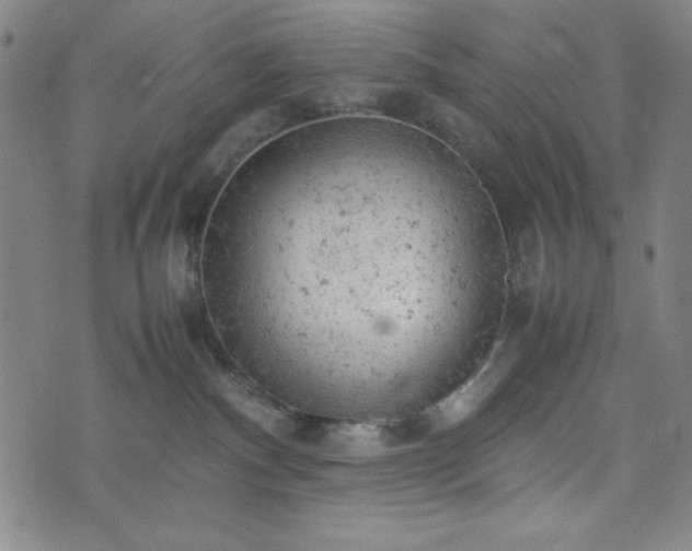 X0000072550140200607211408