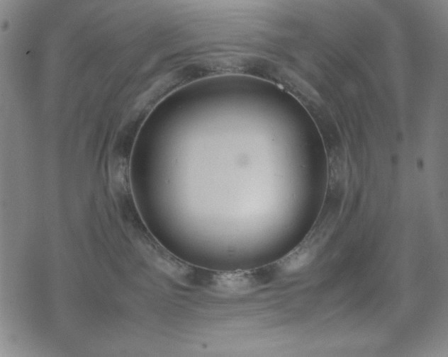 X0000072550141200607211408