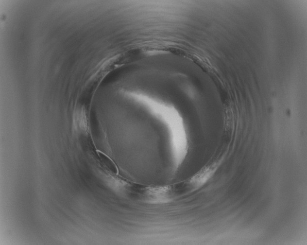 X0000072550143200607211408