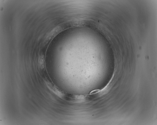 X0000072550144200607211408