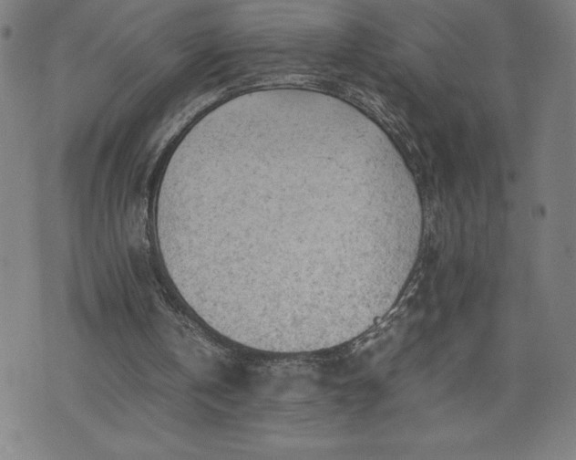 X0000072550146200607211408