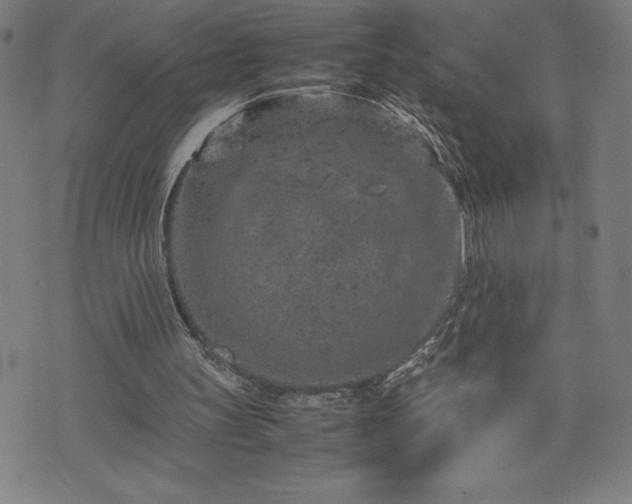 X0000072550147200607211408